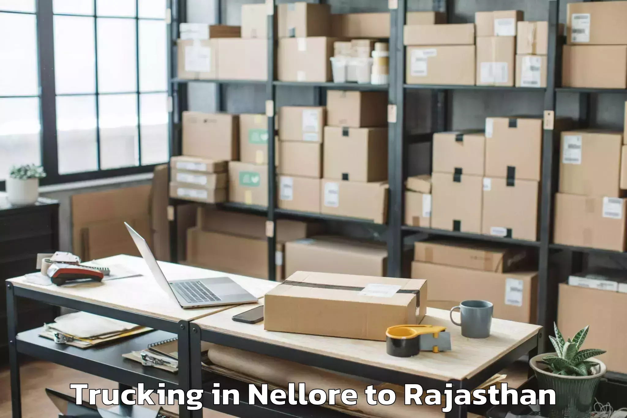 Easy Nellore to Abhilashi University Ajmer Trucking Booking